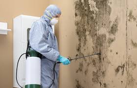  , USA Mold Remediation Pros